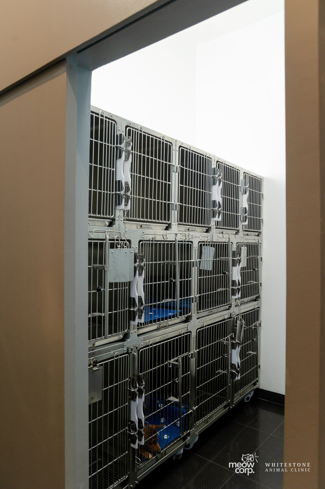 Image of the vets pet cages