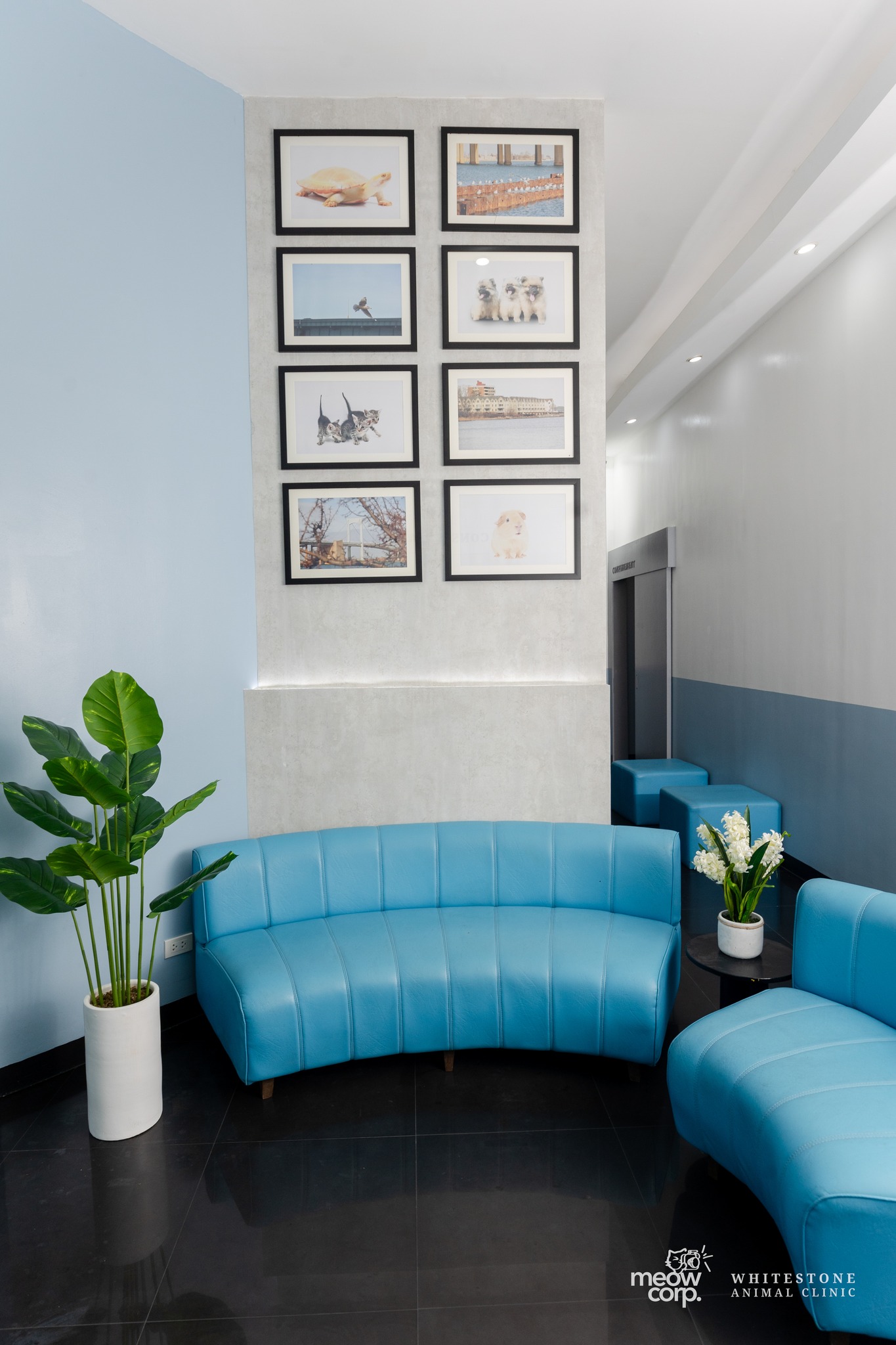 Image of the vets waiting area