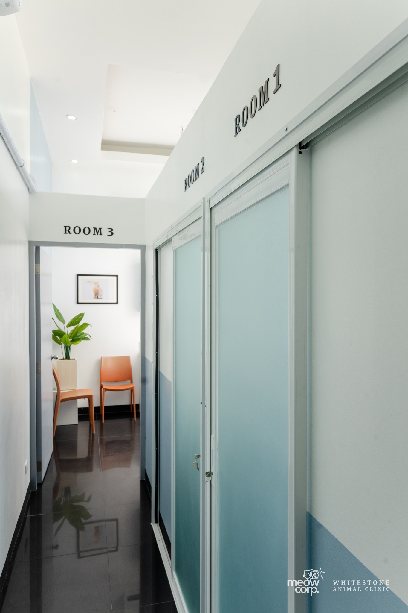 Image of the vets different rooms