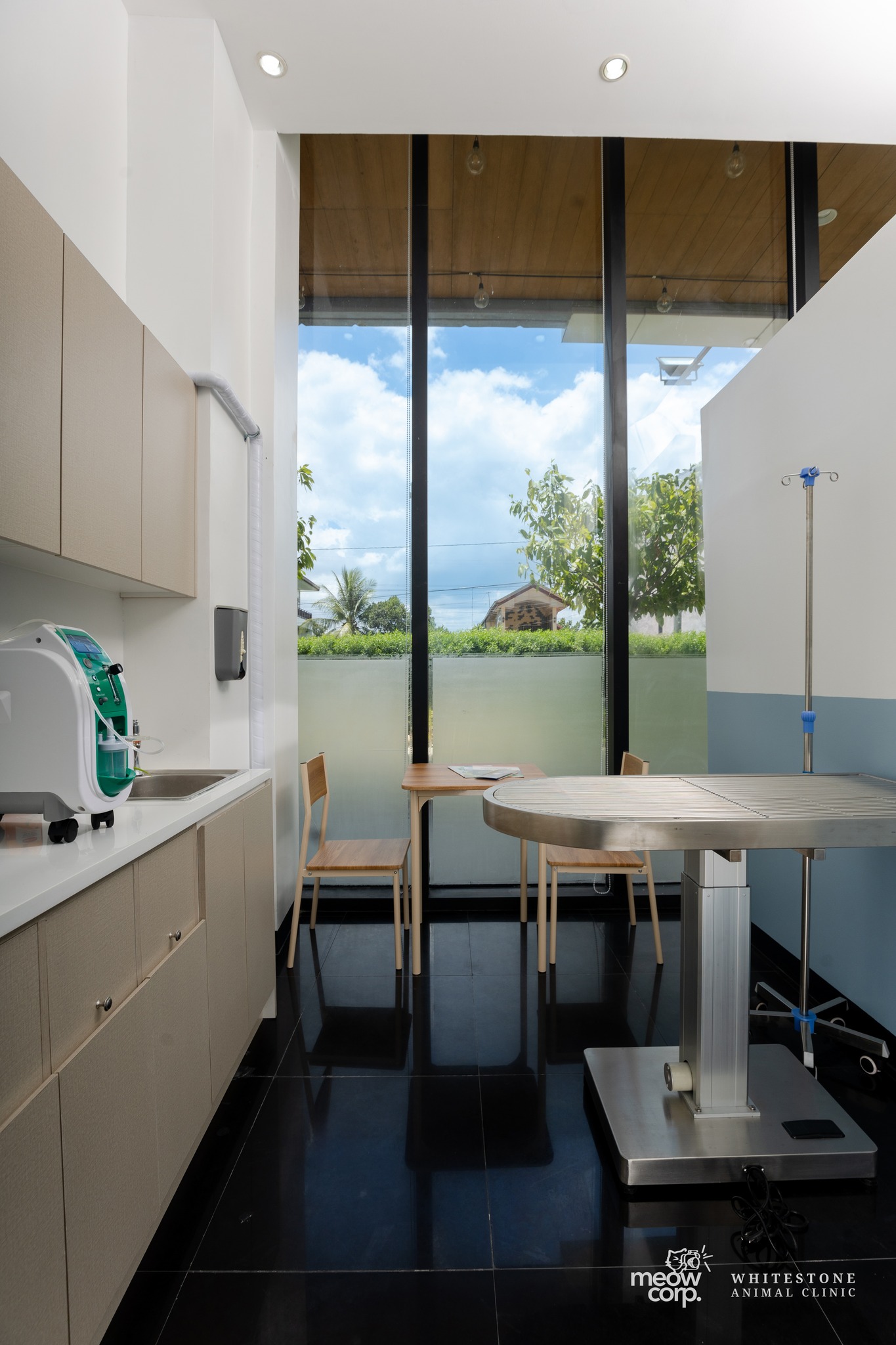 Image of the vets consulatation room